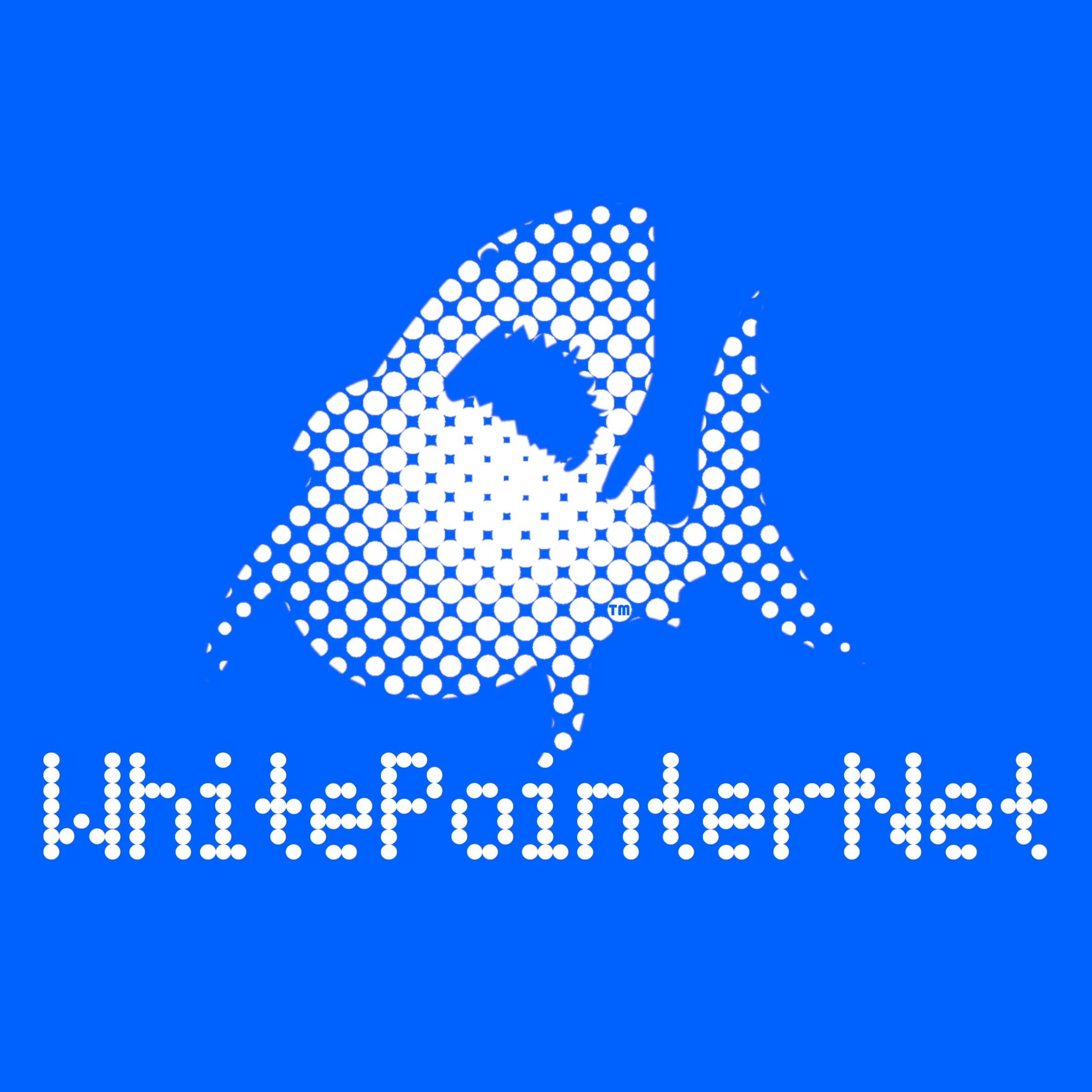 WhitePointerNet